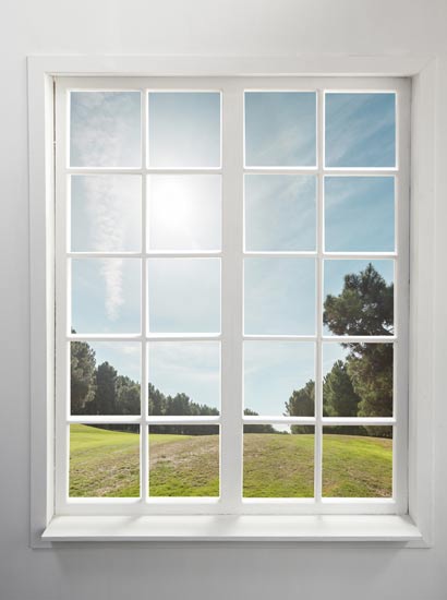 Replacement Windows